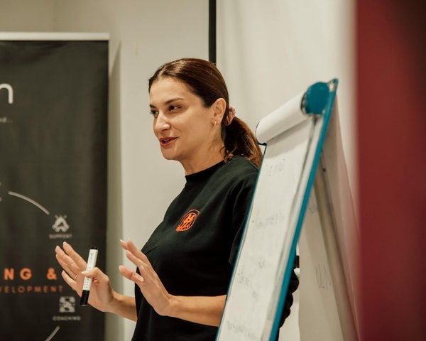 Agence web artichaut : création et identité de marque