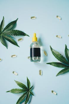 Comment choisir ses fleurs de CBD ?
